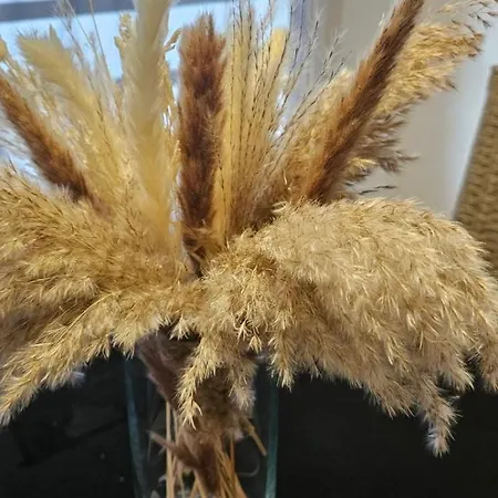 アパート Teabg ベオグラード