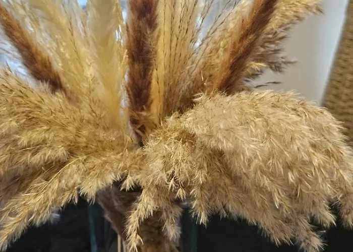 Apartamento Teabg Belgrado